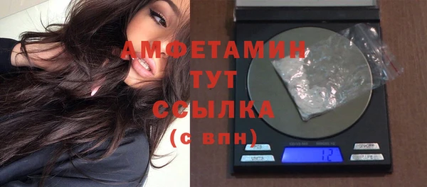 крисы Абаза