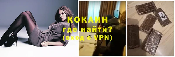 крисы Абаза