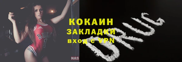 крисы Абаза