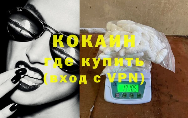 крисы Абаза