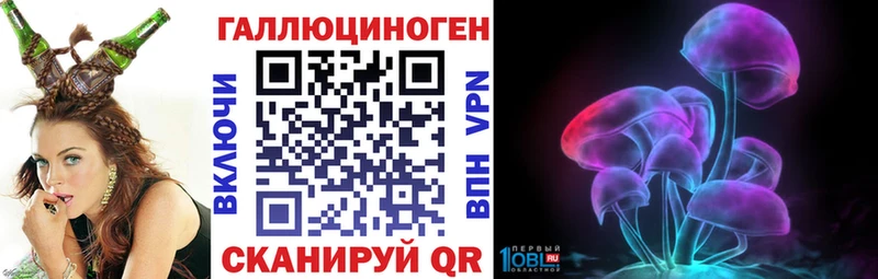где продают   Новомичуринск  Псилоцибиновые грибы мухоморы 